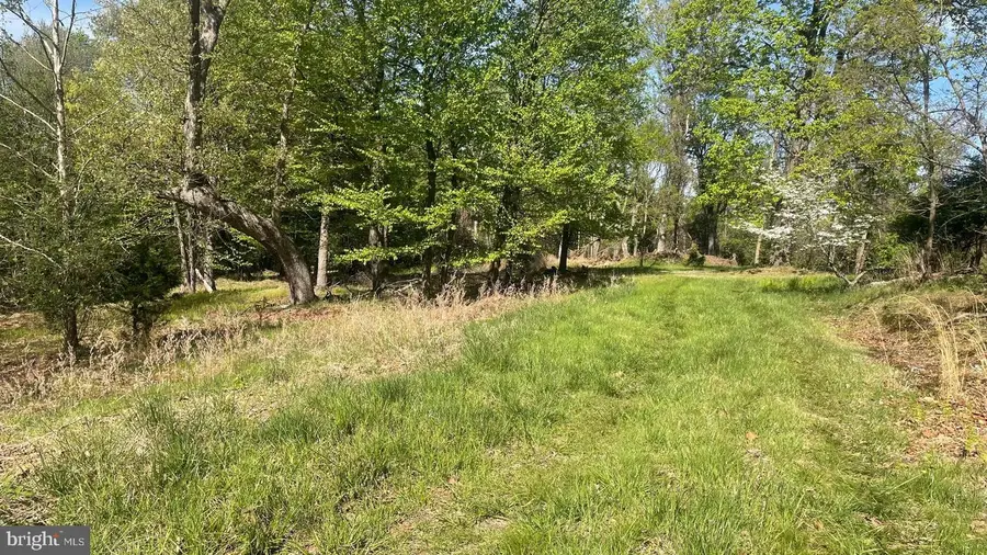 133.944 Acres Russelldale Rd, Burlington, WV 26710 - #2