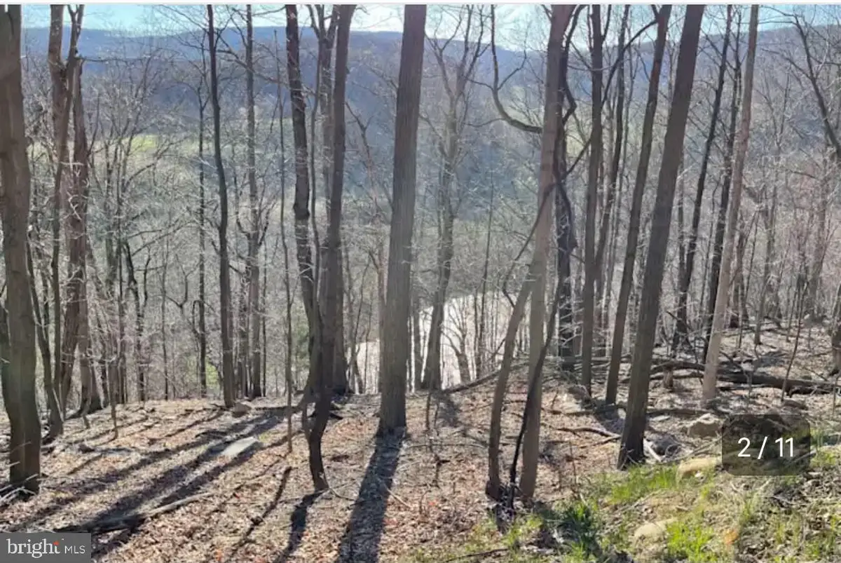 1515 Barnum Road, Keyser, WV 26726 - #1