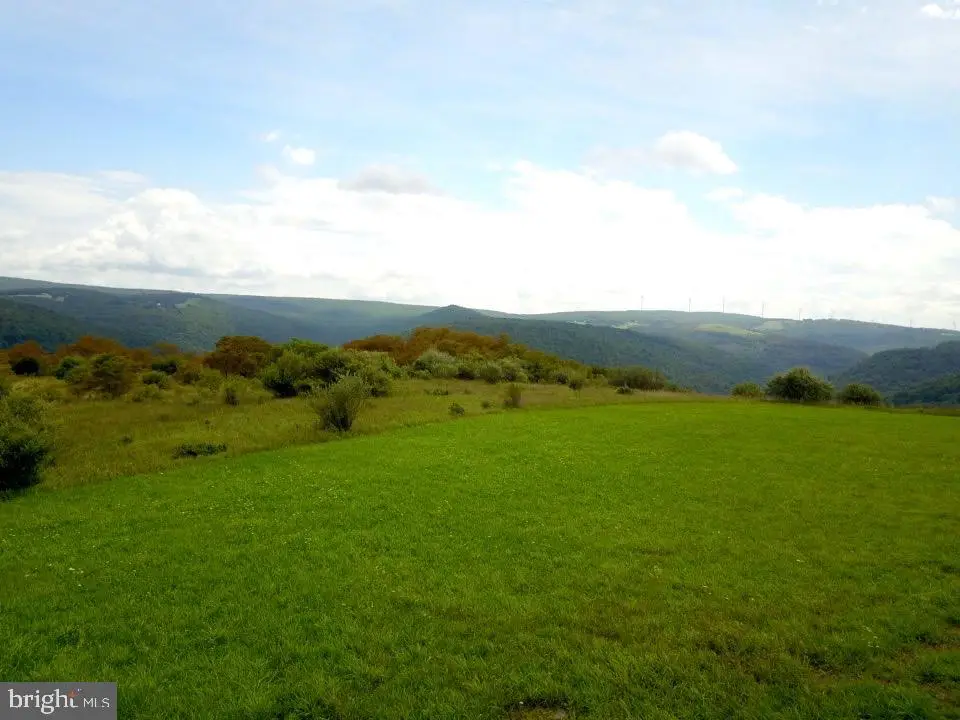 Dragonfly Ln, Elk Garden, WV 26717 - #1