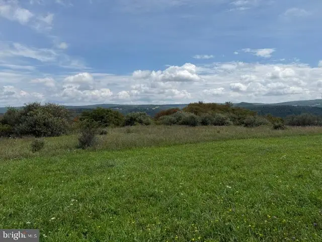 Dragonfly Ln, Elk Garden, WV 26717 - #3