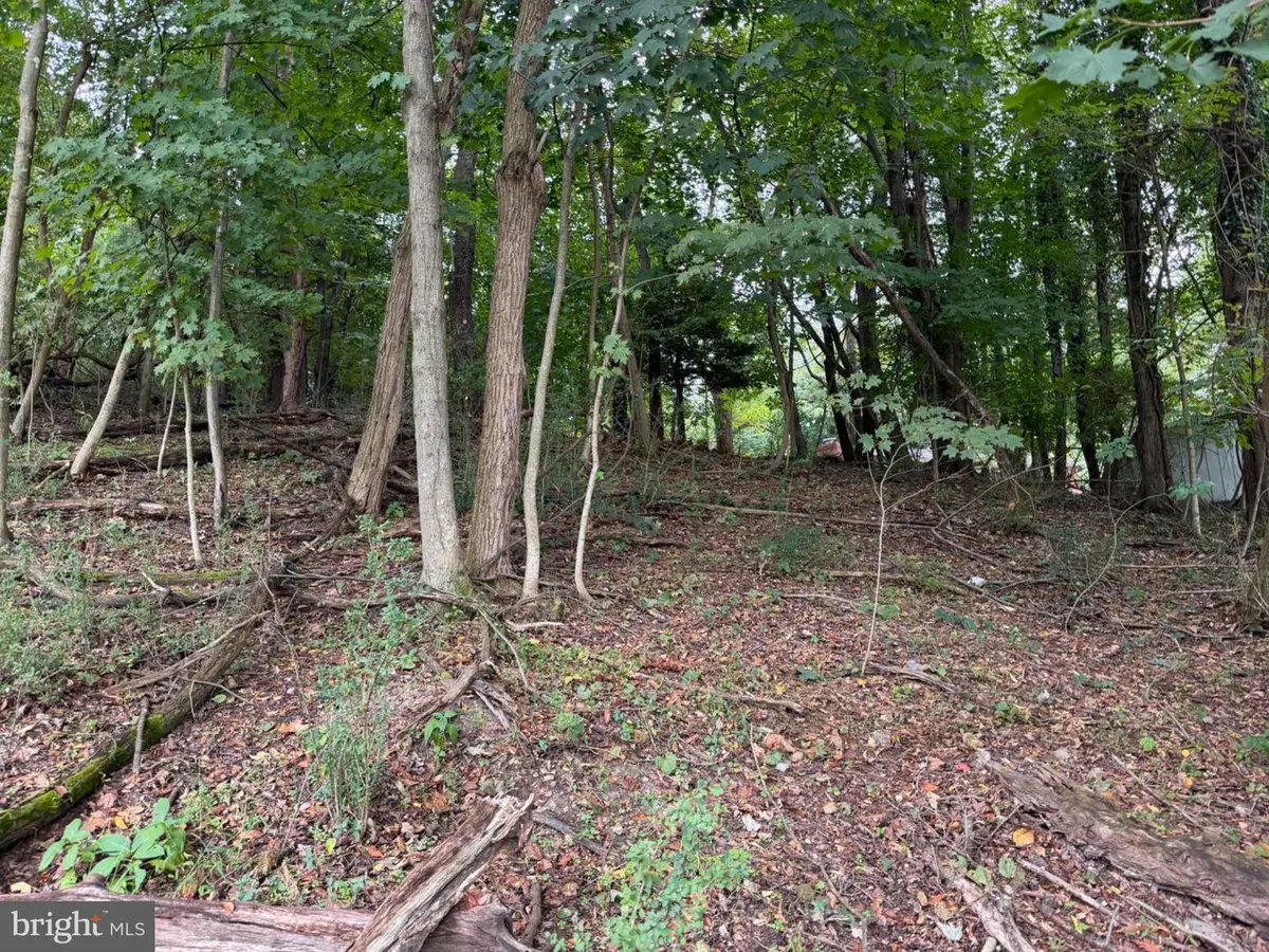 1151 Miller Rd, Ridgeley, WV 26753 - #1