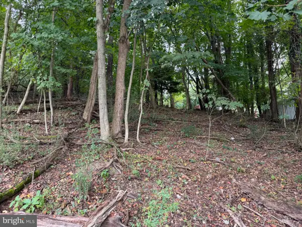 1151 Miller Rd, RIDGELEY, WV 26753