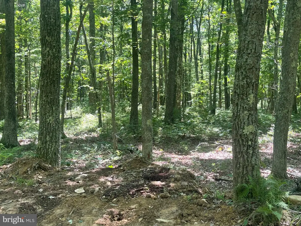 0 Schell Rd, Elk Garden, WV 26717 - #1
