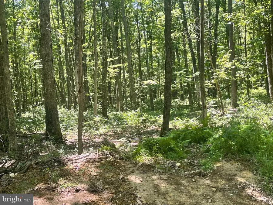 0 Schell Rd, Elk Garden, WV 26717 - #2
