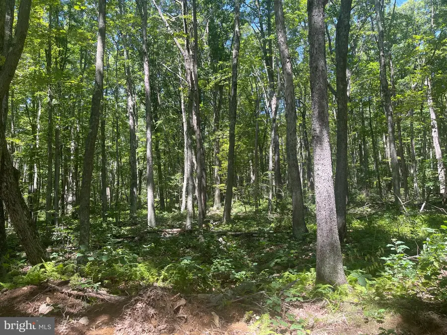 0 Schell Rd, Elk Garden, WV 26717 - #3