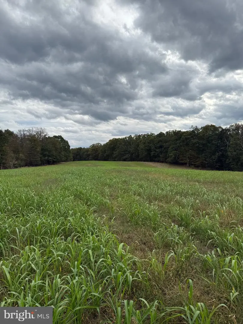 Lot 4 And 5 Posey Hollow, Berkeley Springs, WV 25411 - Image #3