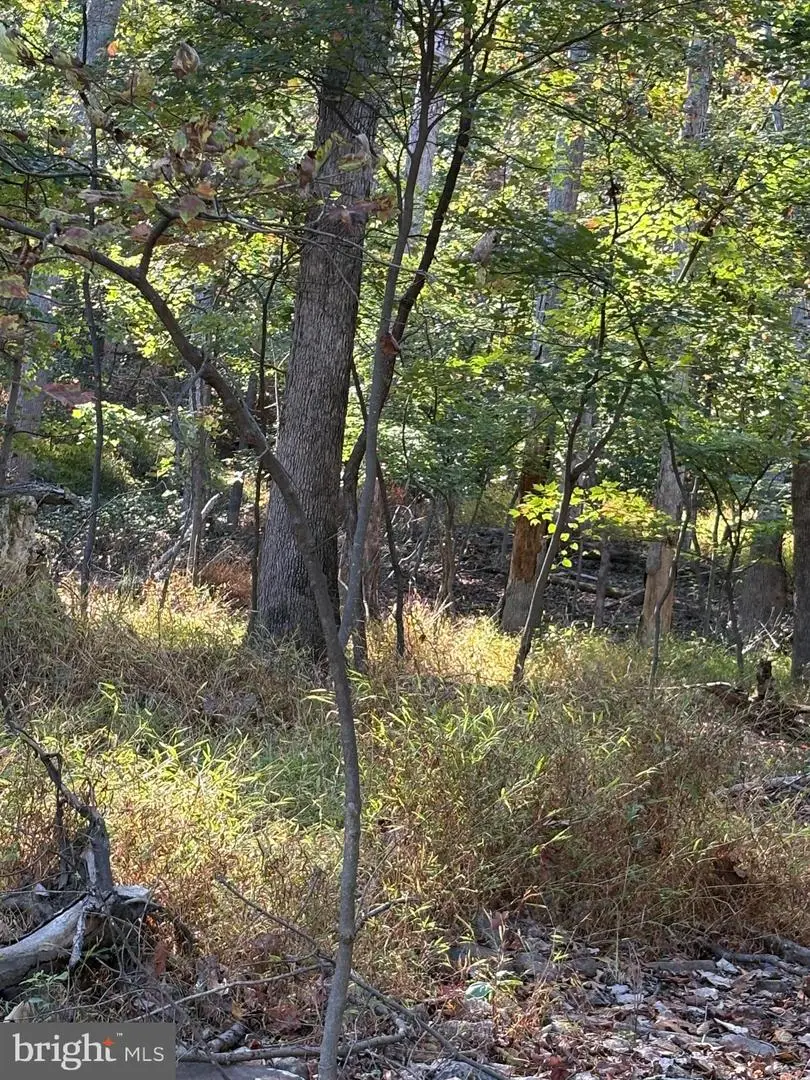 Feather Bed, Hedgesville, WV 25427 - Image #3