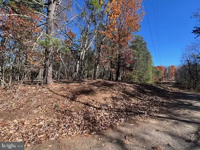 Runaway Ct, Berkeley Springs, WV 25411 - Image #3