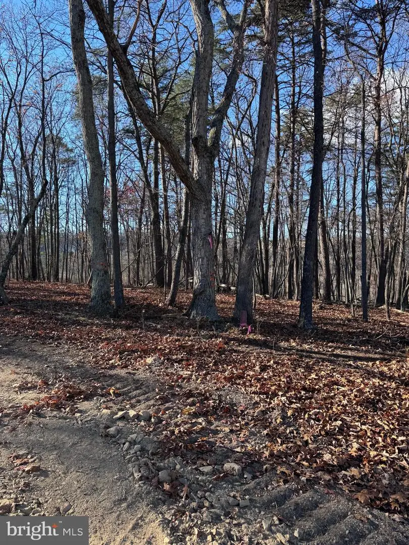 Young Ln, Berkeley Springs, WV 25411 - Image #2