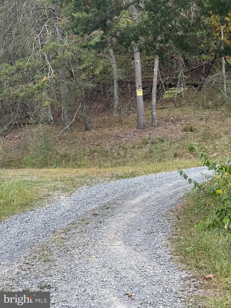 1684 Posey Hollow Rd, Berkeley Springs, WV 25411 - Image #3