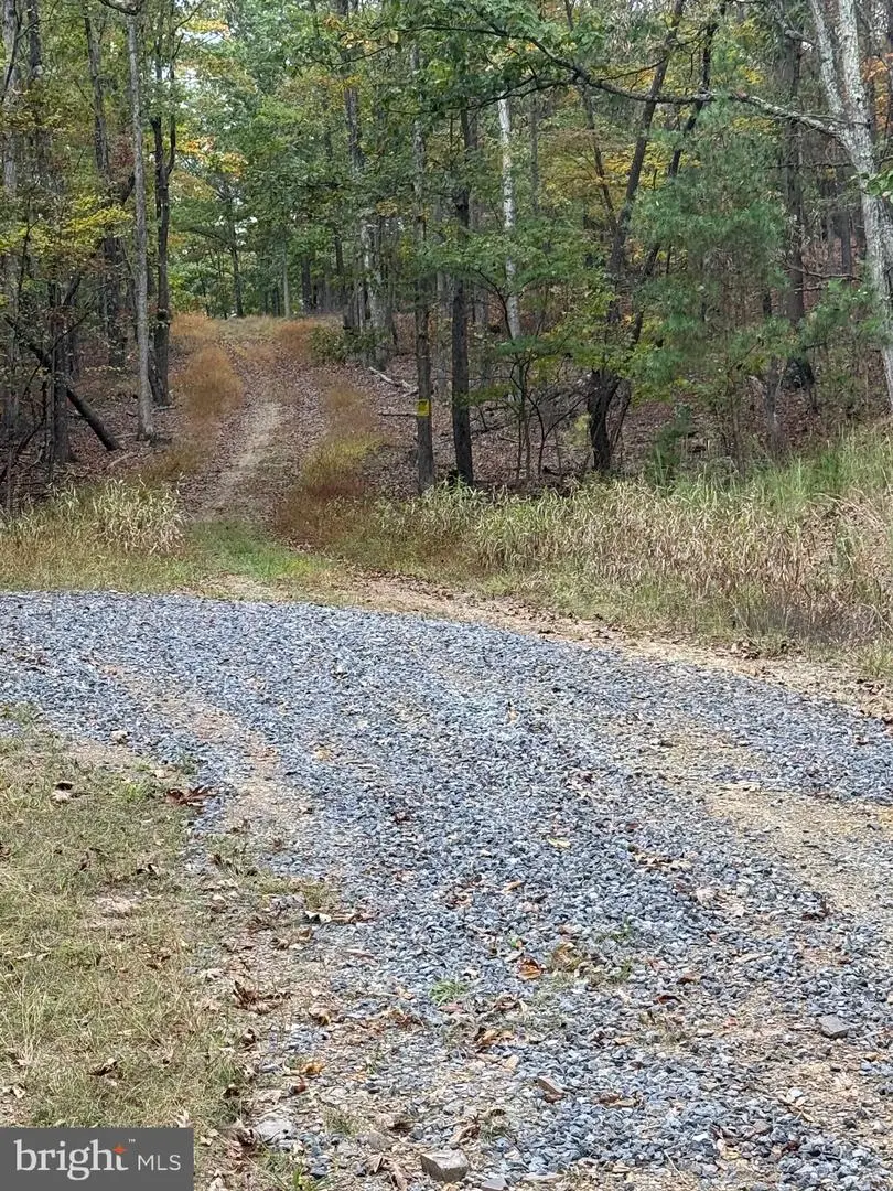 Posey Hollow, Berkeley Springs, WV 25411 - Image #3