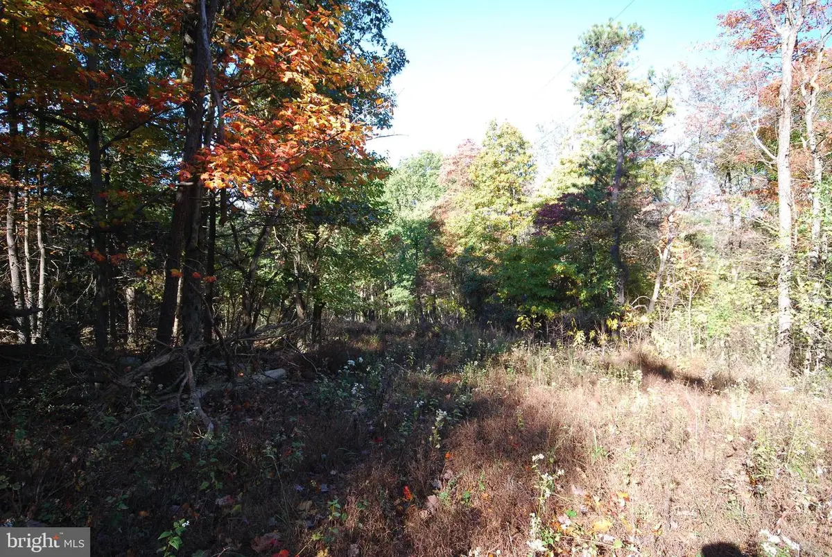 Lot 17 Gaither Rd, Great Cacapon, WV 25422 - Image #1