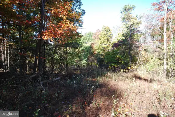 Lot 17 Gaither Rd, GREAT CACAPON, WV 25422