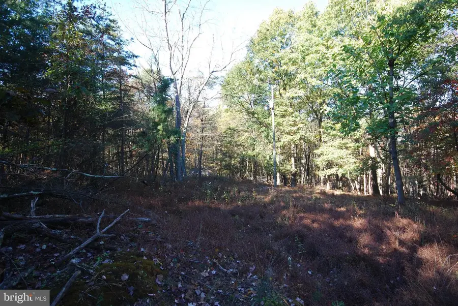 Lot 17 Gaither Rd, Great Cacapon, WV 25422 - Image #3