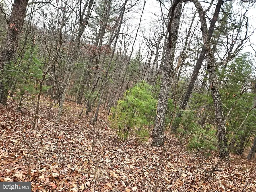 Lot 35 Oak Hill Rd, Berkeley Springs, WV 25411 - Image #2