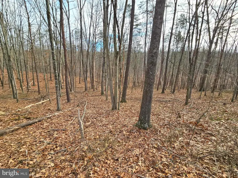 Lot 35 Oak Hill Rd, Berkeley Springs, WV 25411 - Image #3