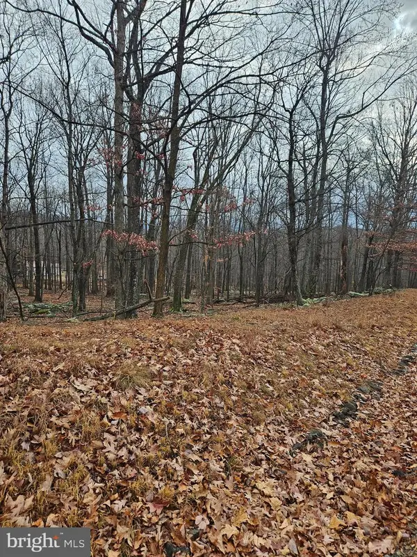 Parkside Terrace, BERKELEY SPRINGS, WV 25411