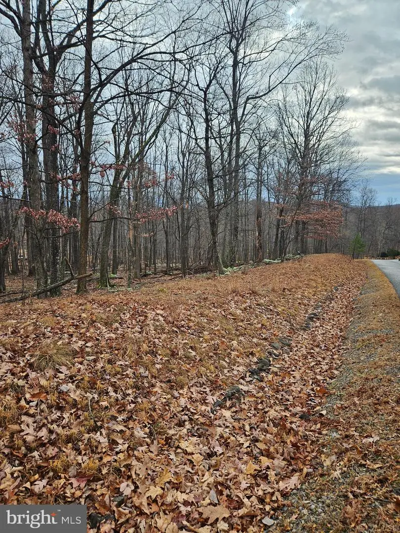 Parkside Terrace, Berkeley Springs, WV 25411 - Image #2