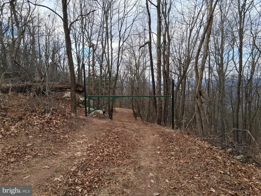 9b Fire Tower Road, Great Cacapon, WV 25422 - Image #2