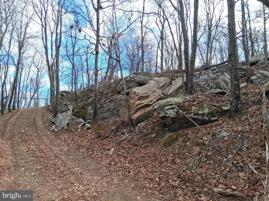 9b Fire Tower Road, Great Cacapon, WV 25422 - Image #3