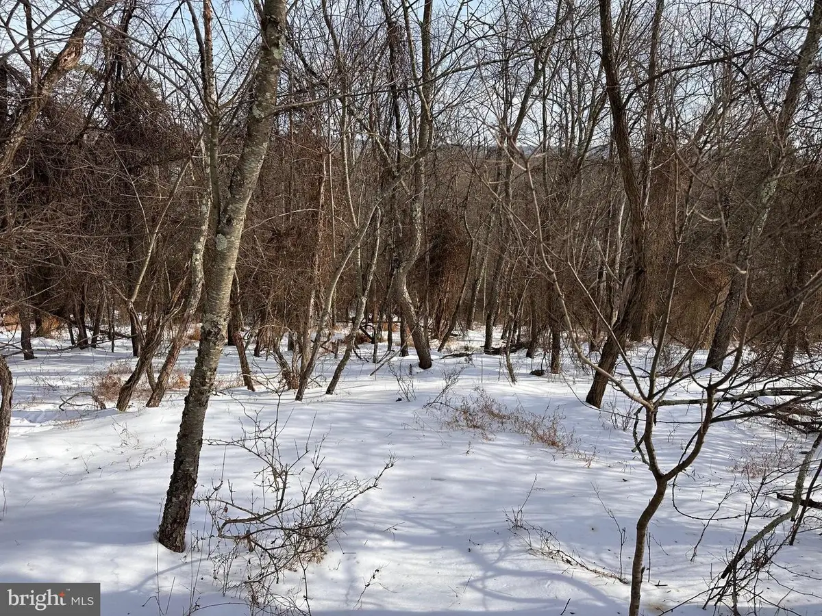 18.52ac Winchester Grade Road, Berkeley Springs, WV 25411 - Image #1