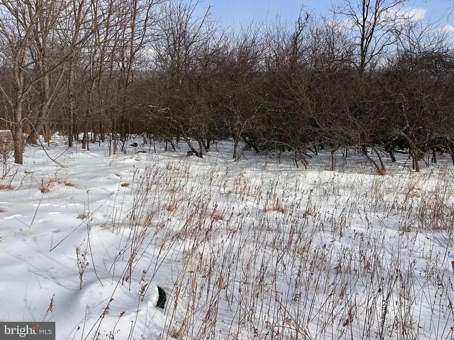 18.52ac Winchester Grade Road, Berkeley Springs, WV 25411 - Image #2