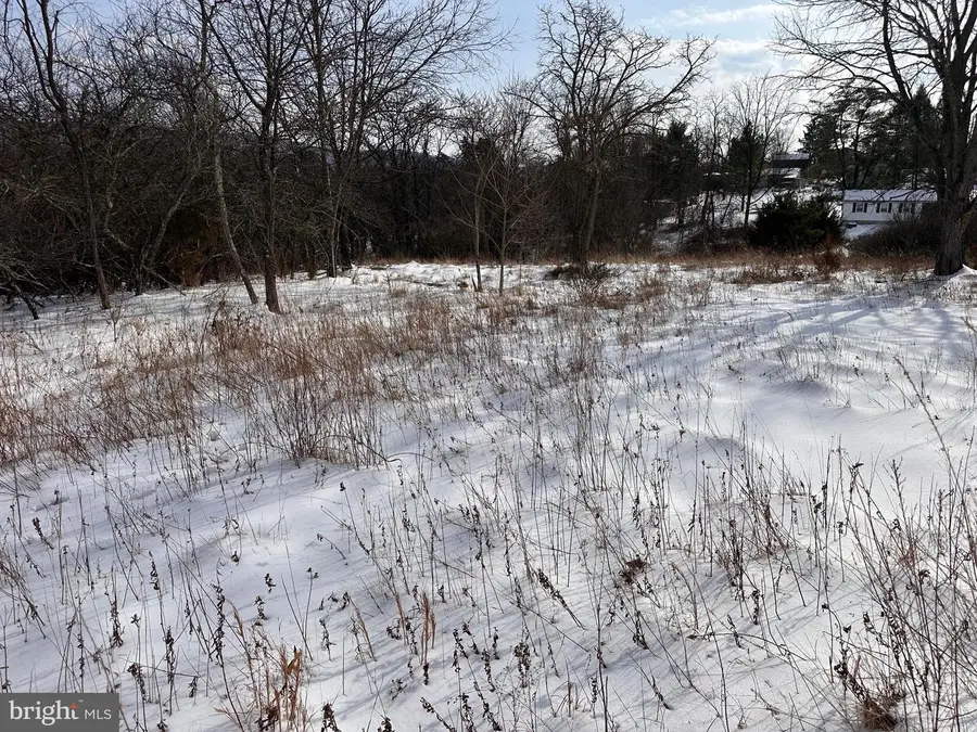 18.52ac Winchester Grade Road, Berkeley Springs, WV 25411 - Image #3