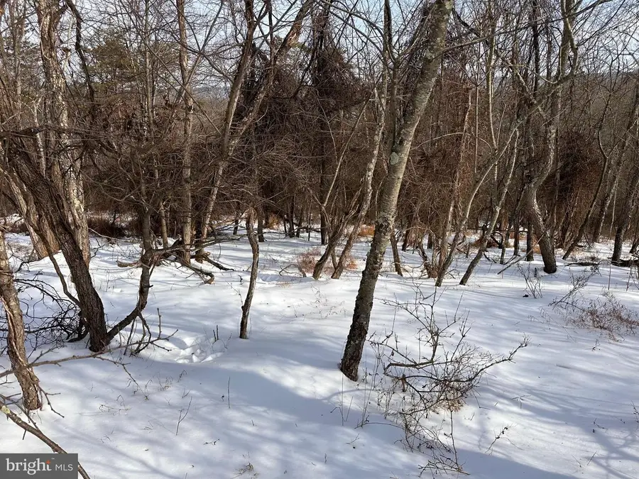 1.01 Ac Winchester Grade Road, Berkeley Springs, WV 25411 - Image #2