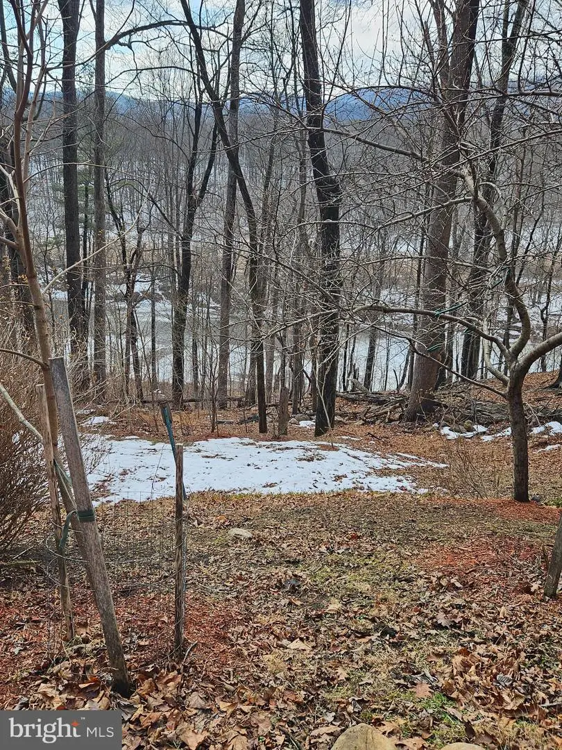 785 Stellar, Great Cacapon, WV 25422 - #2