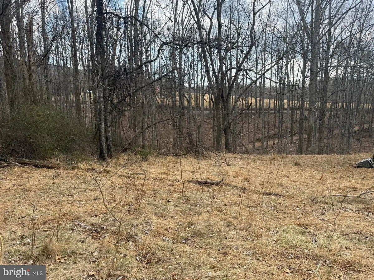 545 Hank Ln, Berkeley Springs, WV 25411 - #1