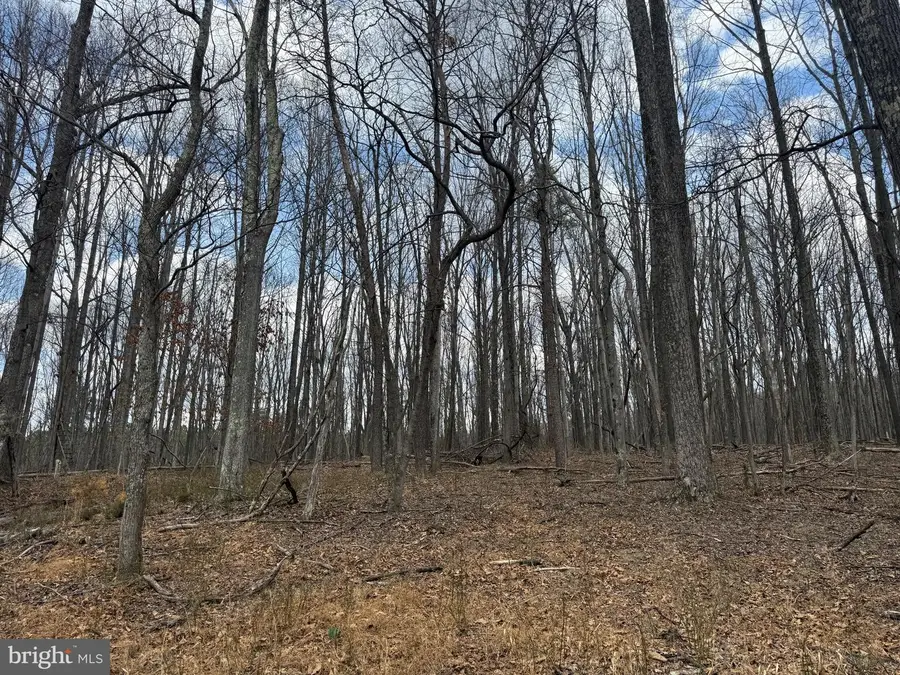 545 Hank Ln, Berkeley Springs, WV 25411 - #3