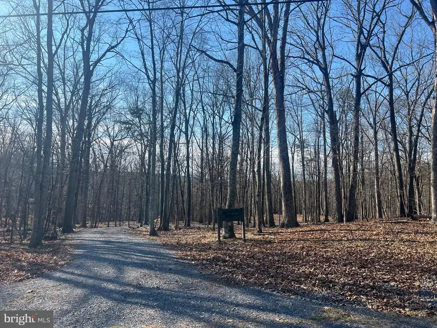 1417 Sideling Mountain Trl, Great Cacapon, WV 25422 - #2