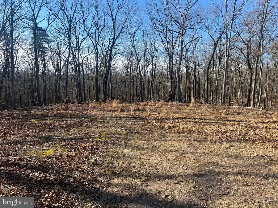 1417 Sideling Mountain Trl, Great Cacapon, WV 25422 - #3