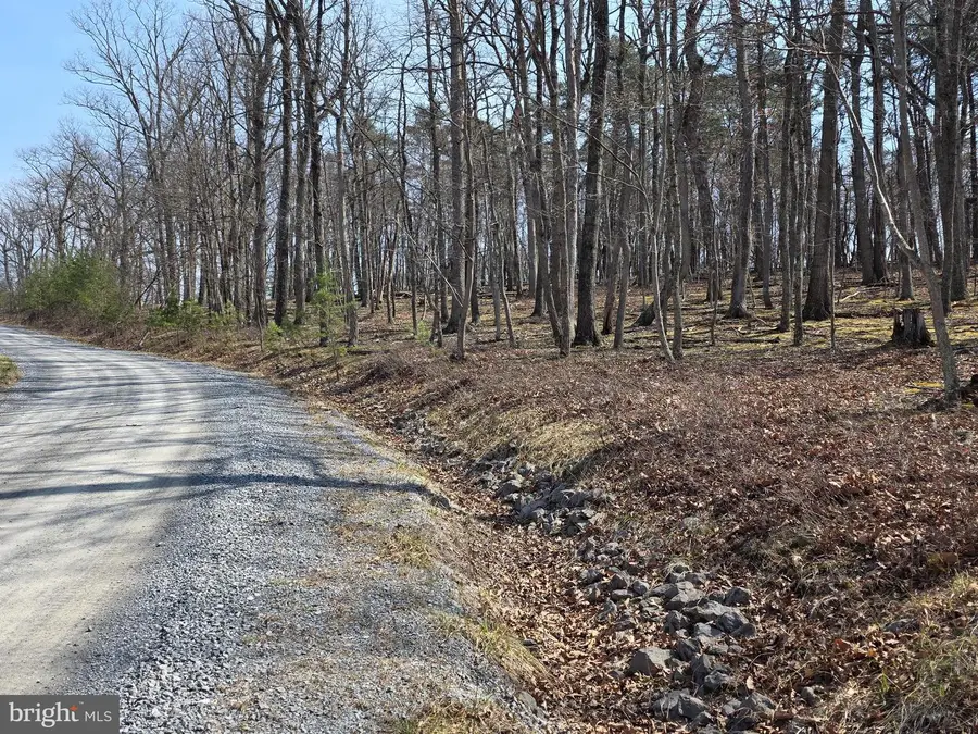 Hollybush Lane #lot 3 B, Berkeley Springs, WV 25411 - #2
