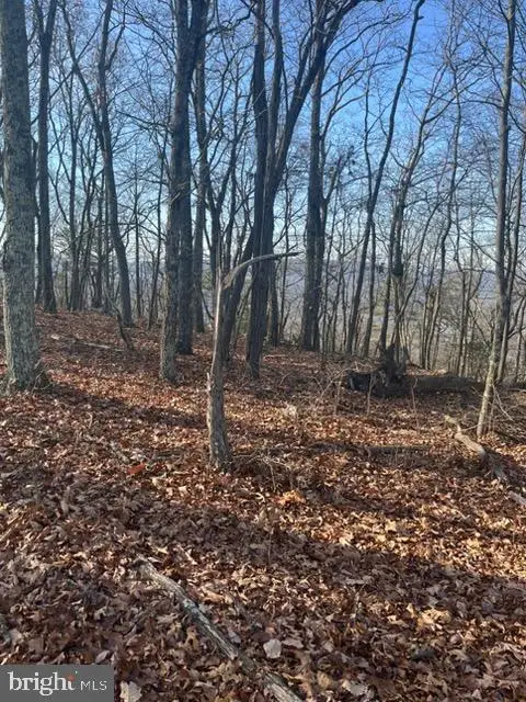 Quaint Acres, Berkeley Springs, WV 25411 - #2