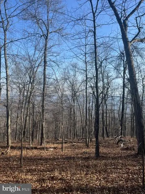 Quaint Acres, Berkeley Springs, WV 25411 - #3