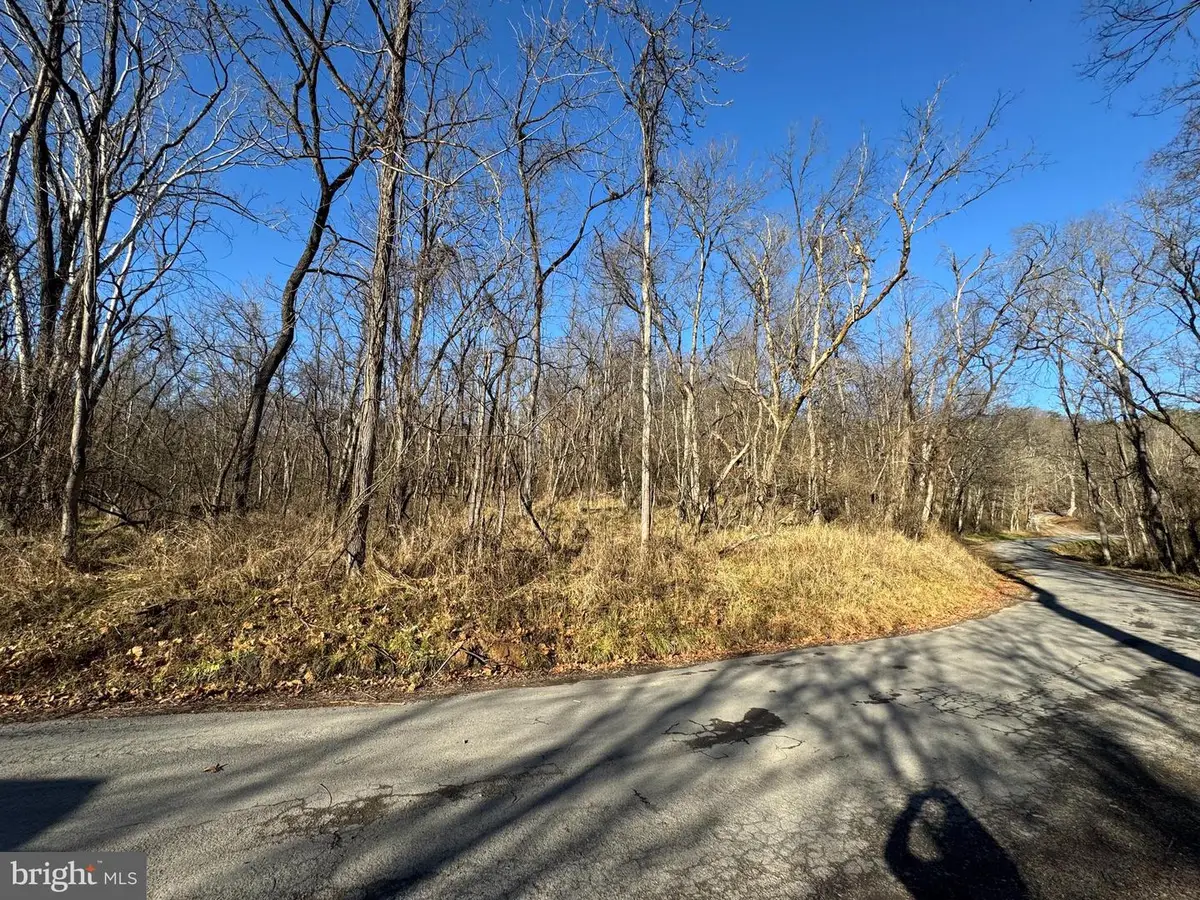 Magnolia Rd, Great Cacapon, WV 25422 - #1