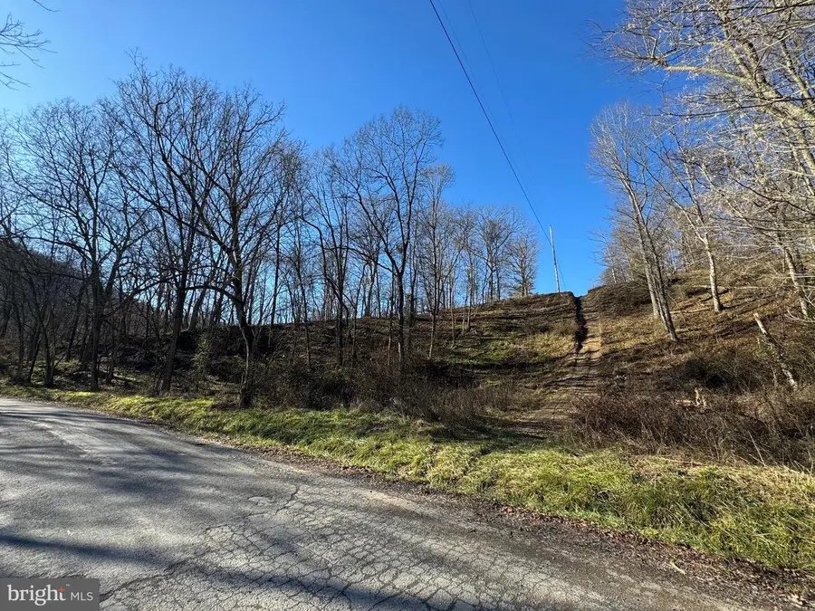 Magnolia Rd, Great Cacapon, WV 25422 - #2
