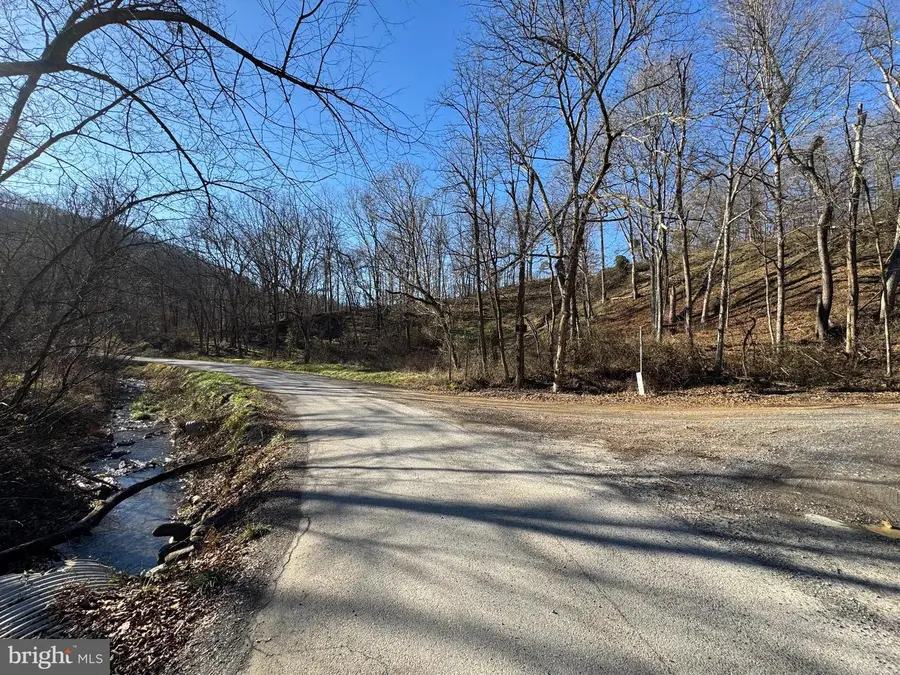 Magnolia Rd, Great Cacapon, WV 25422 - #3
