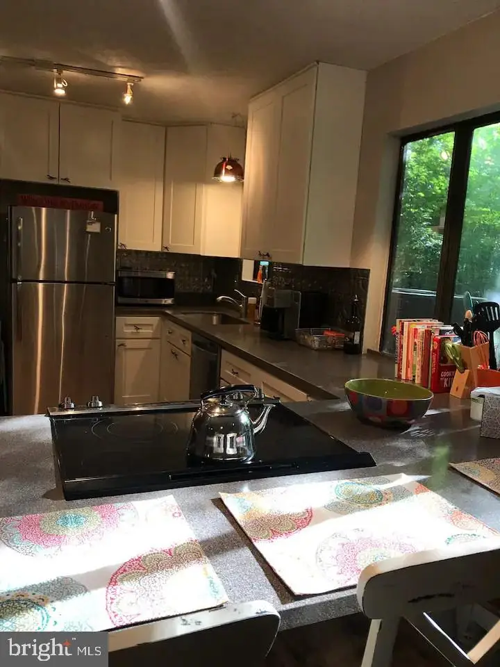 442 Foggy Bottom Ln, Berkeley Springs, WV 25411 - #3