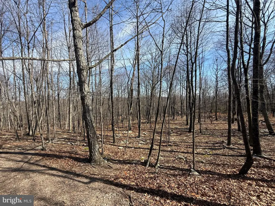 590 Parkside Terrace, Berkeley Springs, WV 25411 - #2