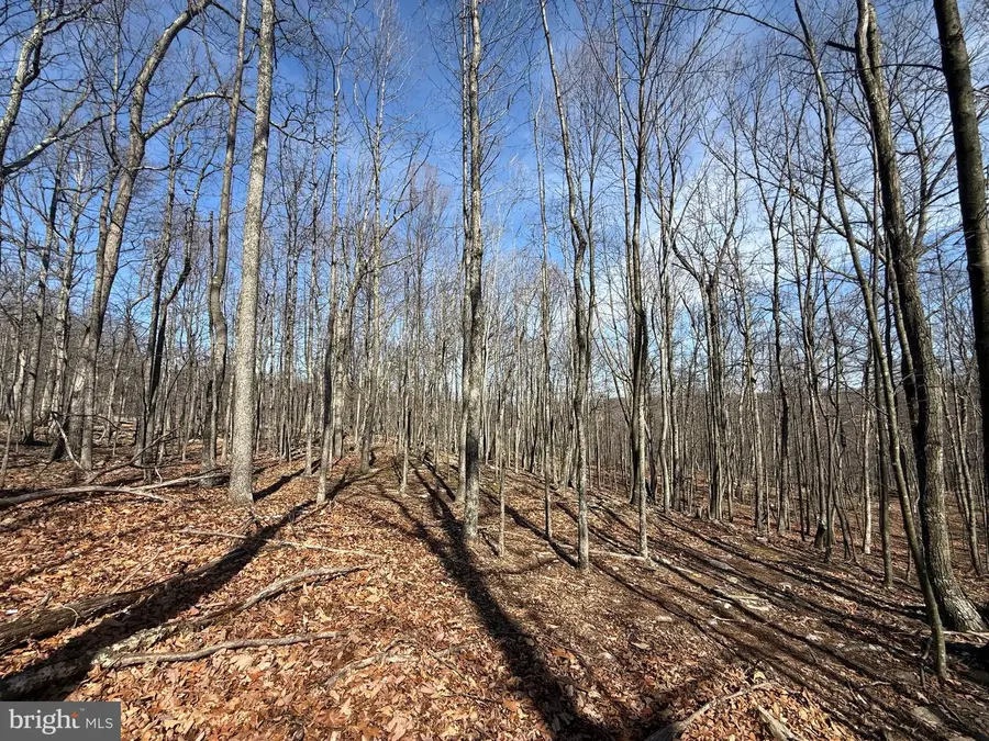 590 Parkside Terrace, Berkeley Springs, WV 25411 - #3