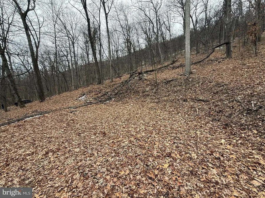 Warblers Way, Berkeley Springs, WV 25411 - #2