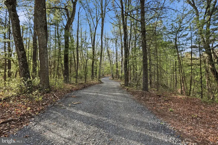 173 Dead End Ln, Berkeley Springs, WV 25411 - #3