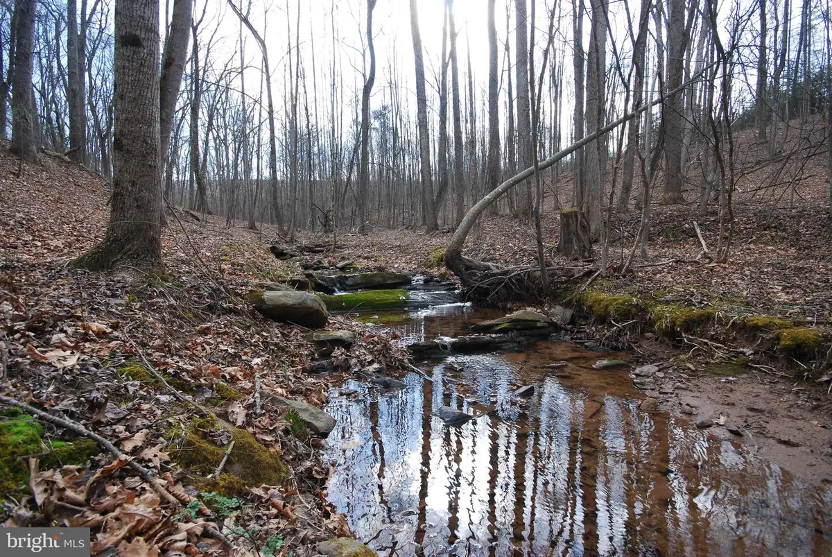 265 Lynch Ln, Berkeley Springs, WV 25411 - #1