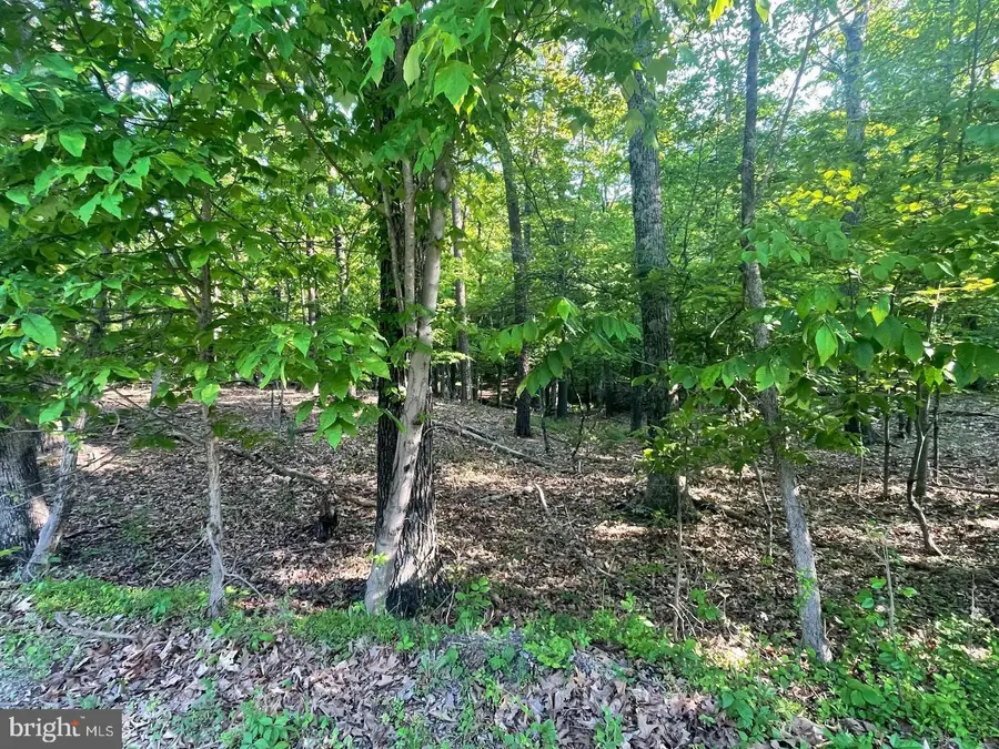 Lot 69b Colonial Dr, Berkeley Springs, WV 25411 - #3