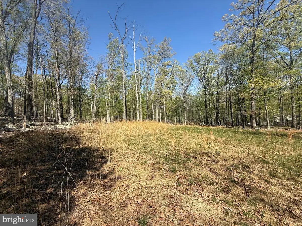 56 Leisure Lane, Berkeley Springs, WV 25411 - #1