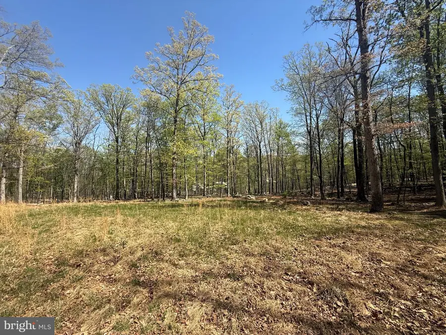 56 Leisure Lane, Berkeley Springs, WV 25411 - #2