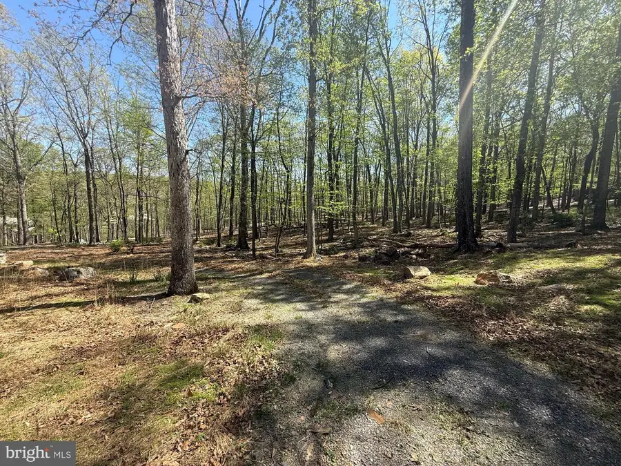 56 Leisure Lane, Berkeley Springs, WV 25411 - #3