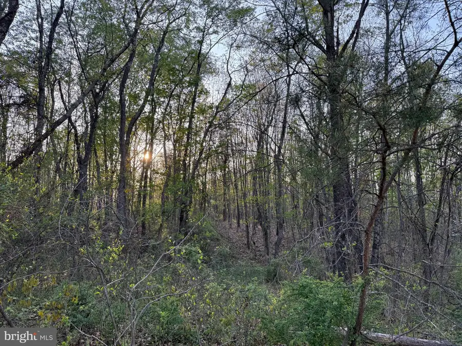 Hackamore Ln, Berkeley Springs, WV 25411 - #2